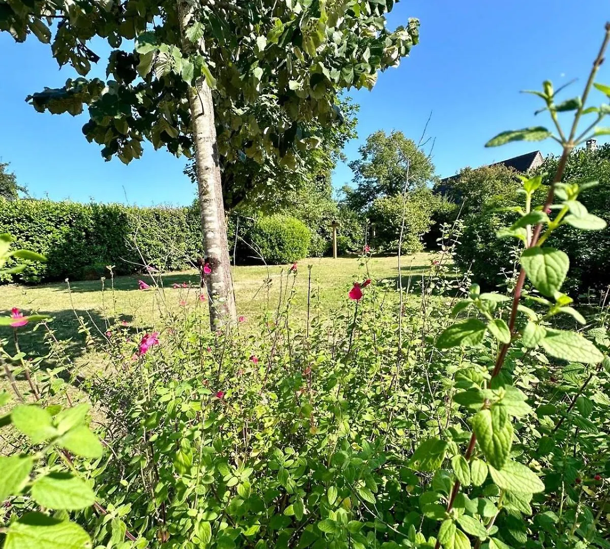 Maison D'Antan - Piscinejardinclim - Bourg De Cuzance Willa